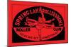 Spring Lake Rollerdome Roller Club-null-Mounted Art Print