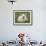 Spring Lamb, Scotland, United Kingdom-Steve & Ann Toon-Framed Photographic Print displayed on a wall