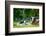 Spring Lambs, Dorset, England, United Kingdom, Europe-John Alexander-Framed Photographic Print