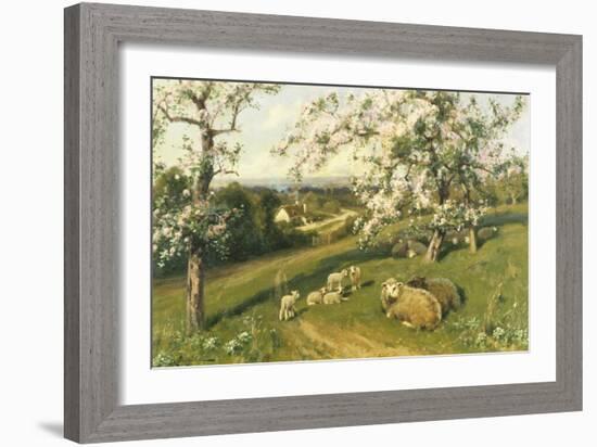 Spring Lambs-Arthur Walker Redgate-Framed Giclee Print