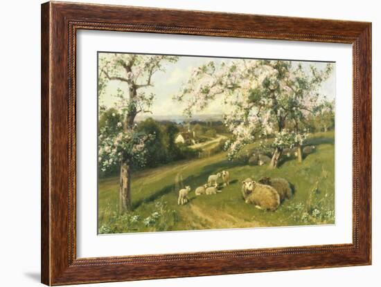 Spring Lambs-Arthur Walker Redgate-Framed Giclee Print