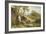 Spring Lambs-Ernest Walbourn-Framed Giclee Print