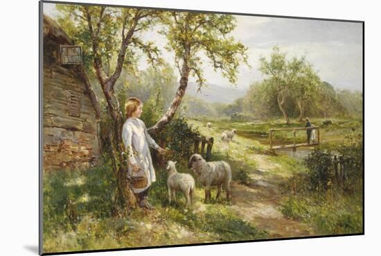 Spring Lambs-Ernest Walbourn-Mounted Giclee Print