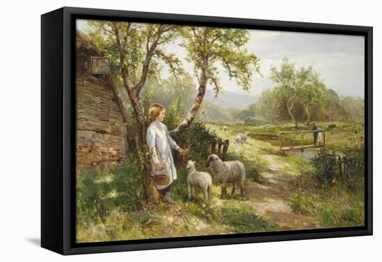 Spring Lambs-Ernest Walbourn-Framed Premier Image Canvas