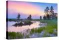 Stretched Canvas Print