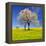 Spring Landscape With Blooming Cherry Trees-volrab vaclav-Framed Premier Image Canvas