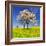 Spring Landscape With Blooming Cherry Trees-volrab vaclav-Framed Photographic Print