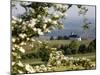 Spring Landscape with Little Church Near Nittel, Mosel-Valley, Rhineland-Palatinate, Germany, Europ-Hans Peter Merten-Mounted Photographic Print