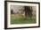 Spring Landscape with Trees (W/C on Paper)-Onorato Carlandi-Framed Giclee Print