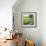 Spring Landscape-Molly Reeves-Framed Art Print displayed on a wall