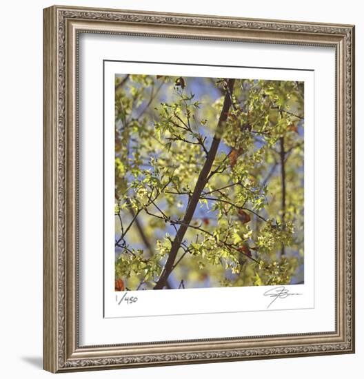 Spring Leaves 2-Ken Bremer-Framed Limited Edition