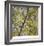 Spring Leaves 2-Ken Bremer-Framed Limited Edition