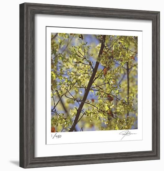 Spring Leaves 2-Ken Bremer-Framed Limited Edition