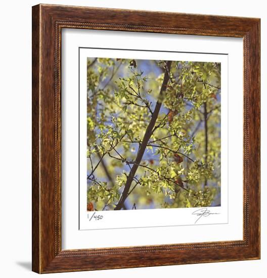 Spring Leaves 2-Ken Bremer-Framed Limited Edition