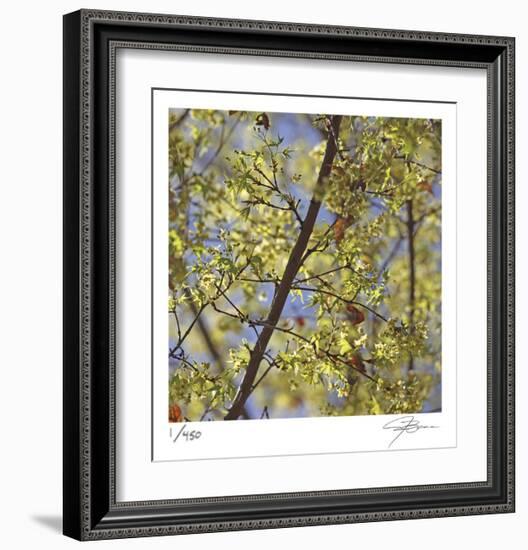 Spring Leaves 2-Ken Bremer-Framed Limited Edition