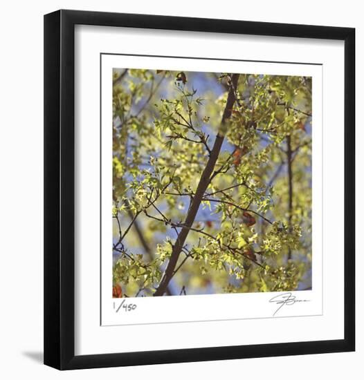 Spring Leaves 2-Ken Bremer-Framed Limited Edition