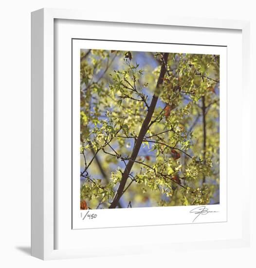 Spring Leaves 2-Ken Bremer-Framed Limited Edition