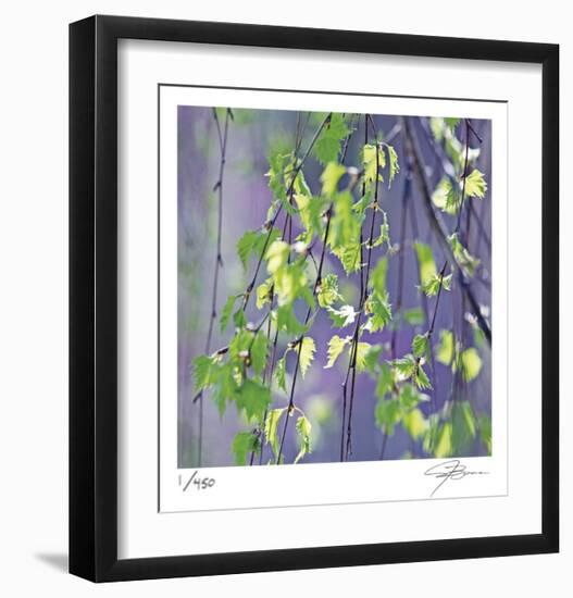 Spring Leaves-Ken Bremer-Framed Limited Edition