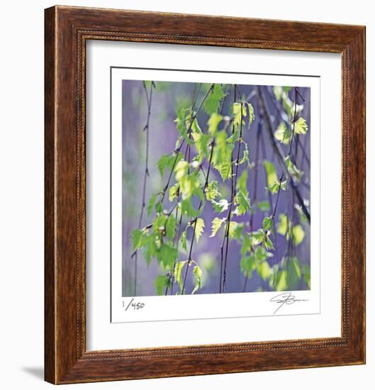 Spring Leaves-Ken Bremer-Framed Limited Edition