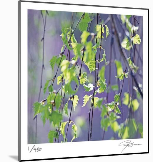 Spring Leaves-Ken Bremer-Mounted Limited Edition