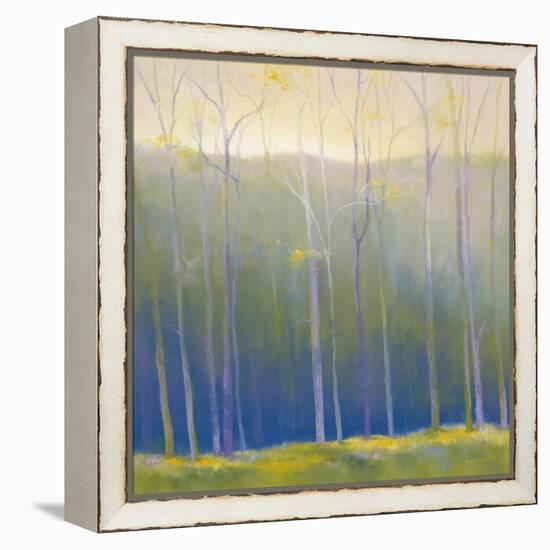 Spring Leaves-Teri Jonas-Framed Premier Image Canvas