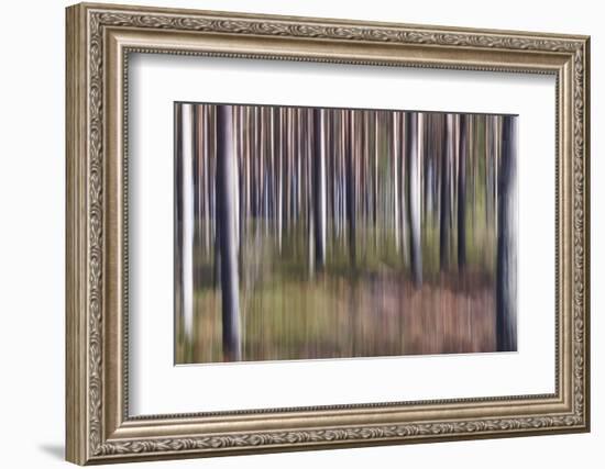 Spring Light 2-Jacob Berghoef-Framed Photographic Print