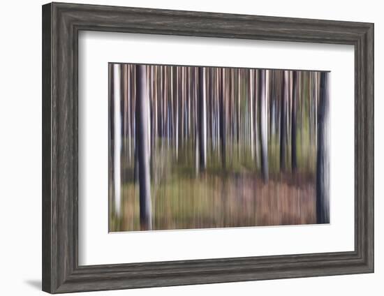 Spring Light 2-Jacob Berghoef-Framed Photographic Print