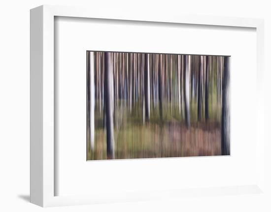 Spring Light 2-Jacob Berghoef-Framed Photographic Print