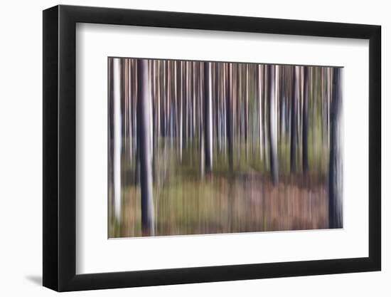 Spring Light 2-Jacob Berghoef-Framed Photographic Print