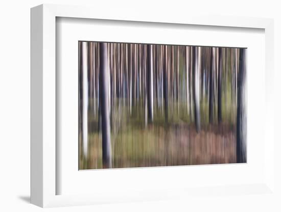 Spring Light 2-Jacob Berghoef-Framed Photographic Print