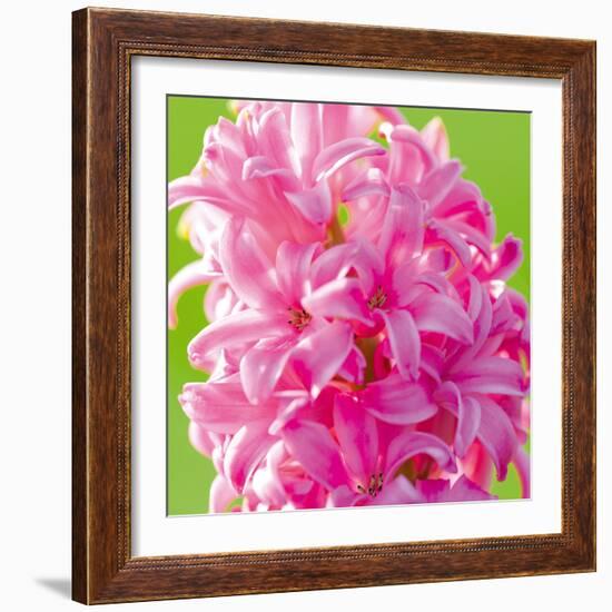 Spring Light I-Joseph Eta-Framed Giclee Print