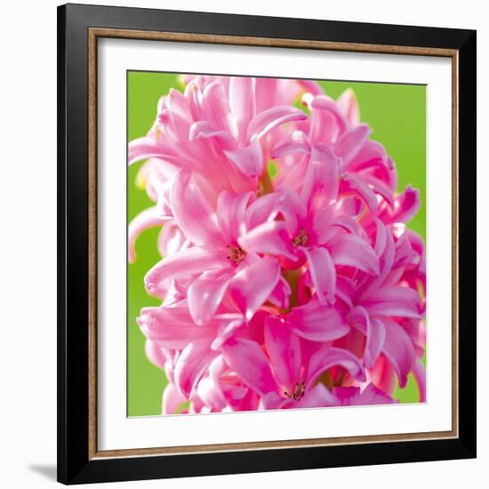 Spring Light I-Joseph Eta-Framed Giclee Print