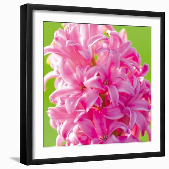 Spring Light I-Joseph Eta-Framed Giclee Print