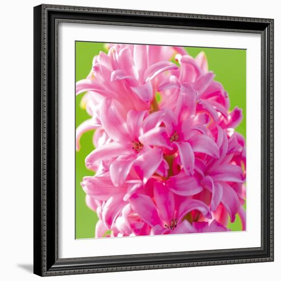 Spring Light I-Joseph Eta-Framed Giclee Print