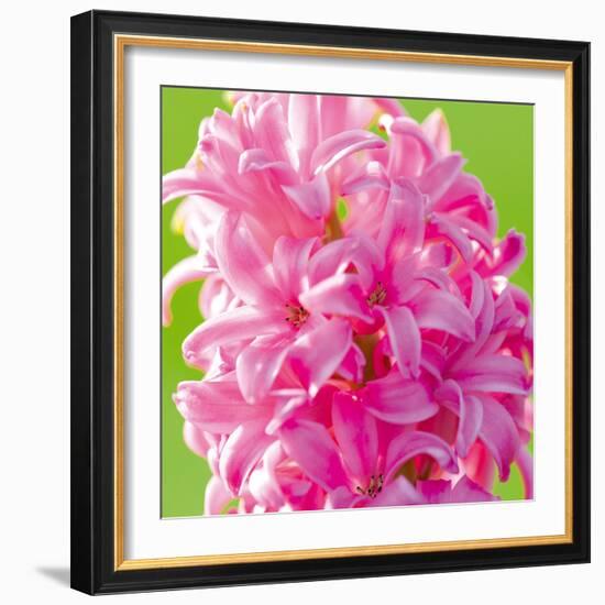 Spring Light I-Joseph Eta-Framed Giclee Print