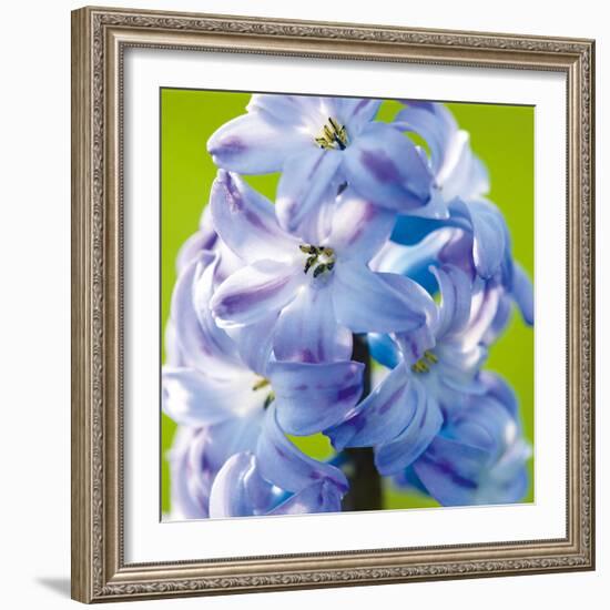 Spring Light II-Joseph Eta-Framed Giclee Print