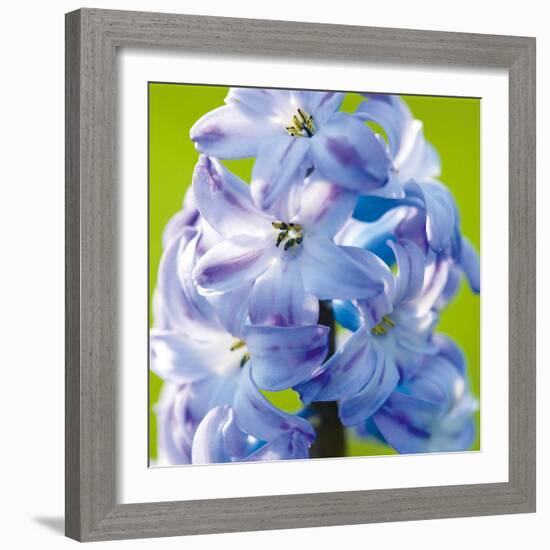 Spring Light II-Joseph Eta-Framed Giclee Print