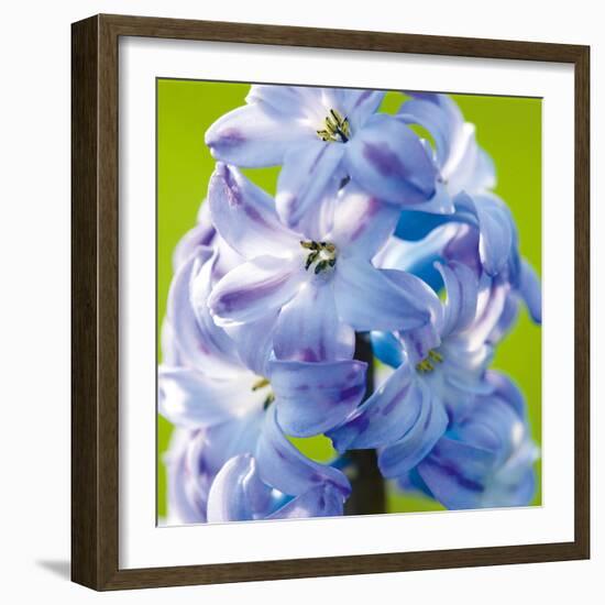 Spring Light II-Joseph Eta-Framed Giclee Print