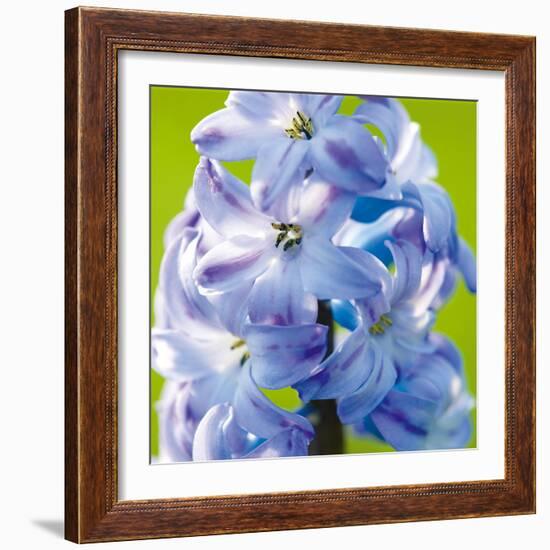 Spring Light II-Joseph Eta-Framed Giclee Print