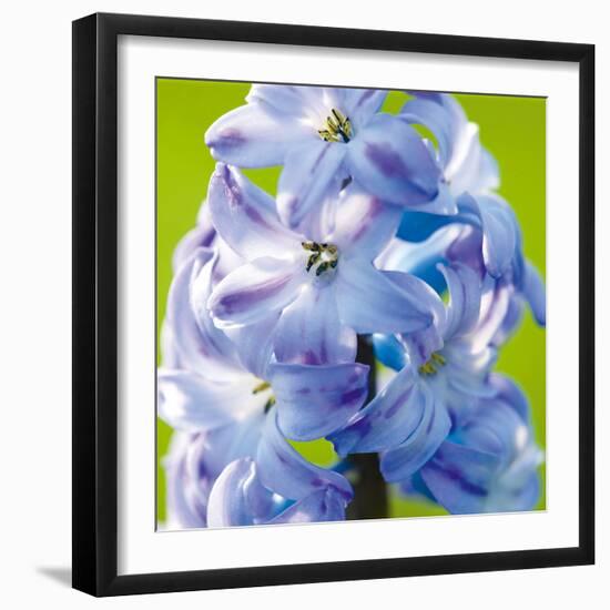 Spring Light II-Joseph Eta-Framed Giclee Print