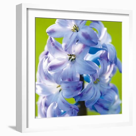 Spring Light II-Joseph Eta-Framed Giclee Print