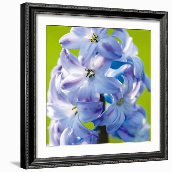 Spring Light II-Joseph Eta-Framed Giclee Print