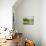 Spring Light II-Ethan Harper-Mounted Art Print displayed on a wall