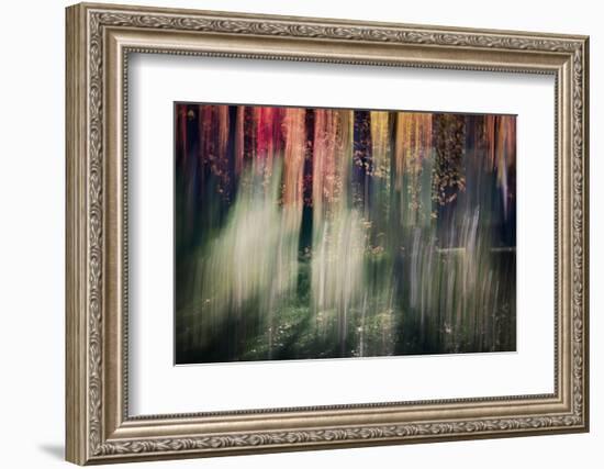 Spring Light-Ursula Abresch-Framed Photographic Print