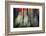 Spring Light-Ursula Abresch-Framed Photographic Print