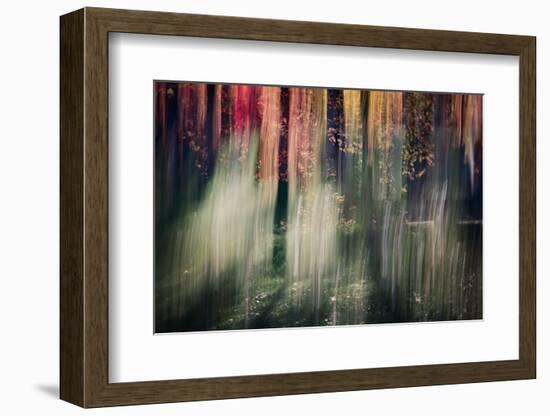 Spring Light-Ursula Abresch-Framed Photographic Print