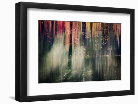 Spring Light-Ursula Abresch-Framed Photographic Print