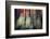 Spring Light-Ursula Abresch-Framed Photographic Print