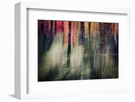 Spring Light-Ursula Abresch-Framed Photographic Print