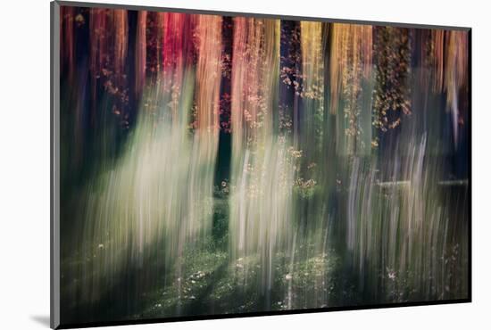 Spring Light-Ursula Abresch-Mounted Photographic Print